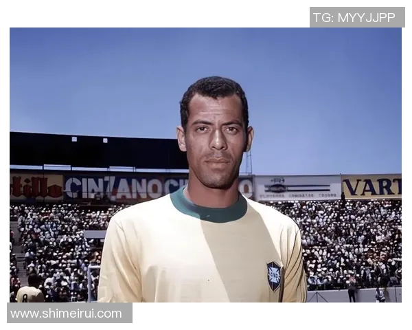 什么样的人才能称为足球球星他们的标准与成就背后有哪些故事